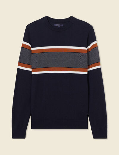 Pull manches longues bleu foncé homme