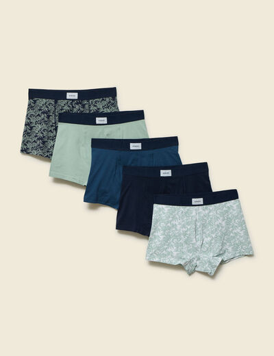 Lot de 5 boxers vert pastel homme
