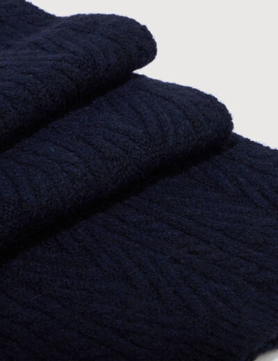 &Eacute;charpe bleu marine homme