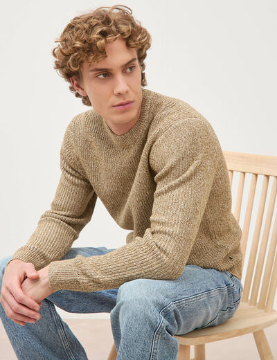 Pull manches longues camel homme