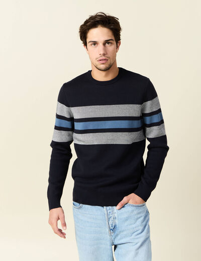 Pull manches longues bleu marine homme