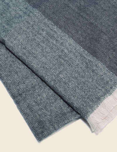 Écharpe bleu marine homme