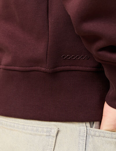 Sweat &agrave; capuche bordeaux homme