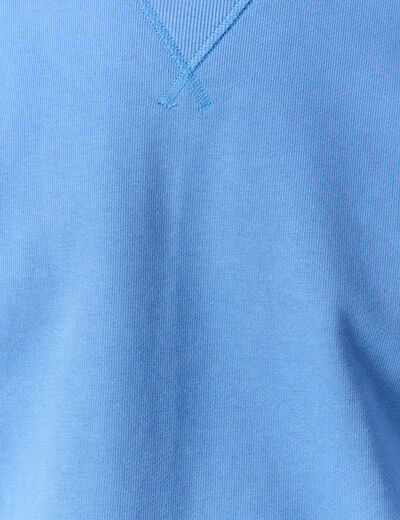 Sweat manches longues en coton bleu violet homme