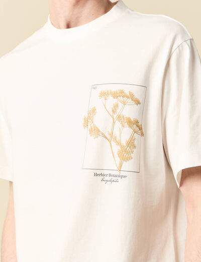 T-shirt manches courtes ecru homme