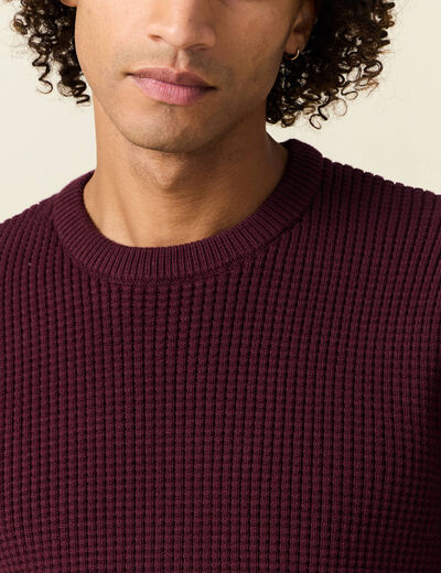Pull éco-responsable prune homme