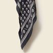 Foulard satin&eacute; noir homme