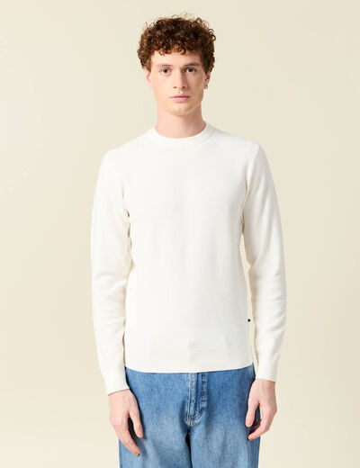 Pull éco-responsable ecru homme