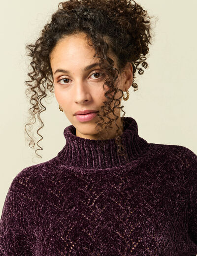 Pull col roul&eacute; manches longues prune femme