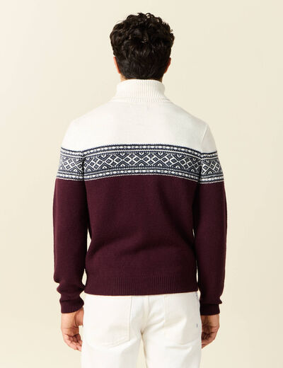 Pull manches longues prune homme