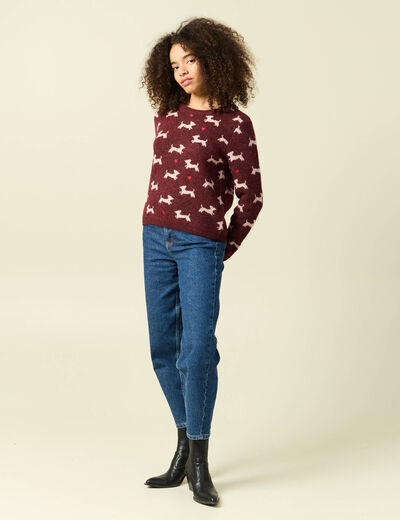 Pull de no&euml;l col rond manches longues prune femme