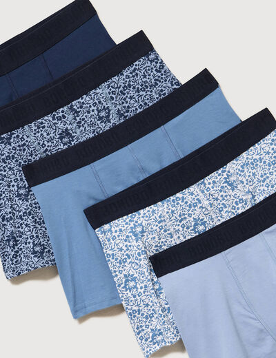 Lot de 5 boxers bleu gris homme