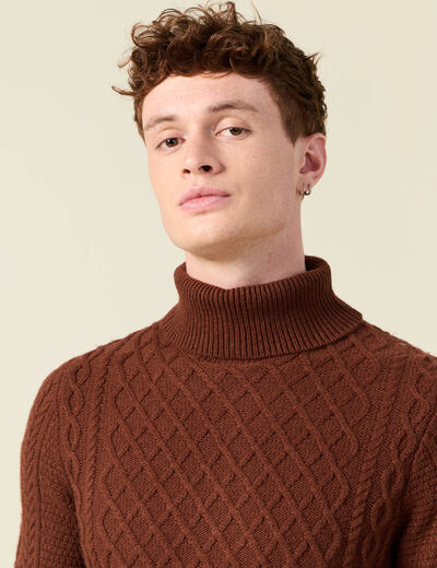 Pull manches longues marron cognac homme