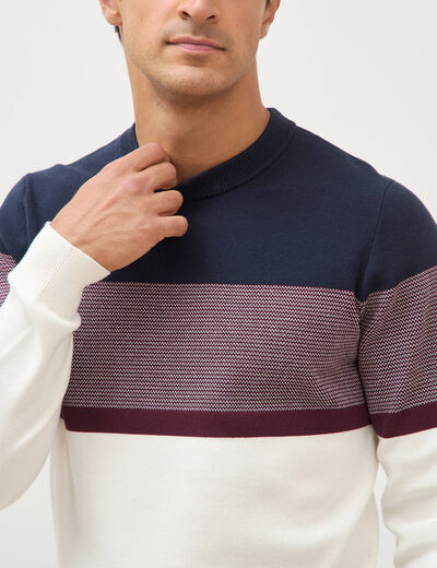 Pull fin col rond manches longues bleu marine homme