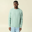 Pull manches longues col rond vert pastel homme
