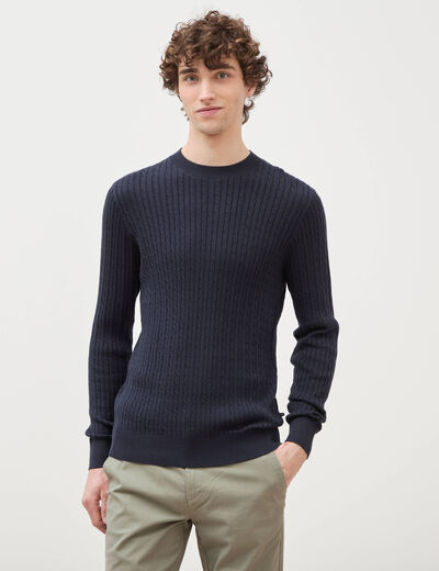 Pull col rond bleu marine homme