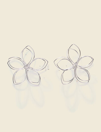Boucles d'oreilles clous couleur argent femme