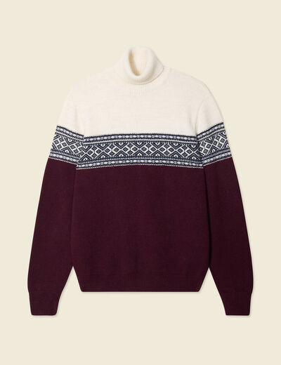 Pull manches longues prune homme