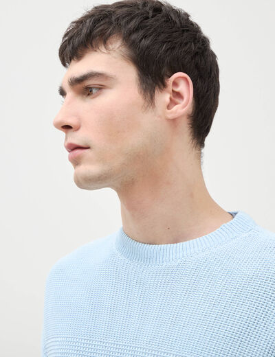 Pull col rond manches longues en coton bleu ciel homme