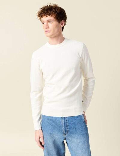 Pull éco-responsable ecru homme