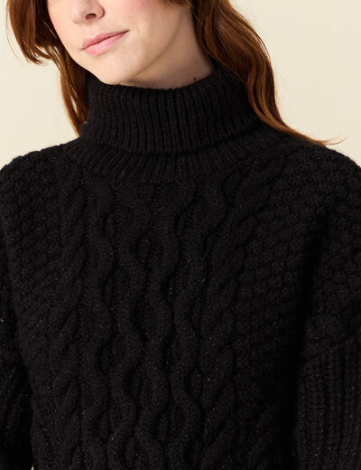Pull manches longues col roul&eacute; brillant noir femme