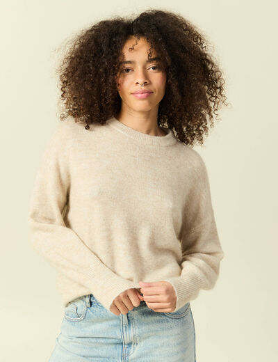 Pull col rond manches longues beige femme