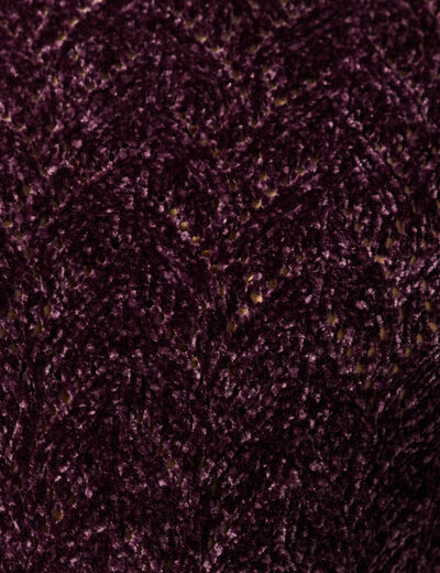 Pull col roul&eacute; manches longues prune femme