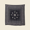 Foulard satin&eacute; noir homme