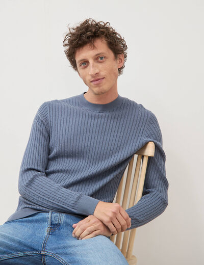 Pull col rond bleu gris homme