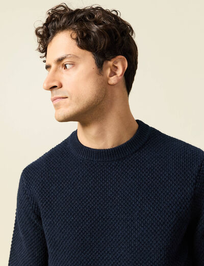 Pull col rond bleu marine homme