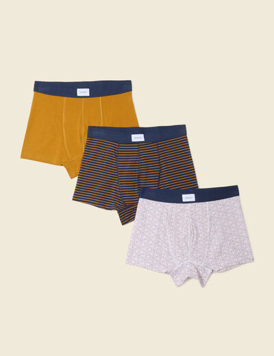 Lot 3 boxers jaune moutarde homme
