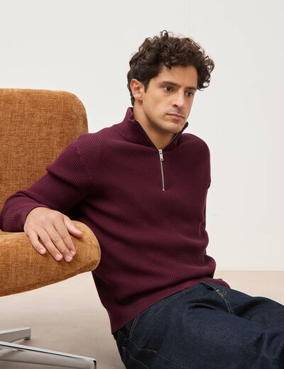 Pull col camionneur prune homme