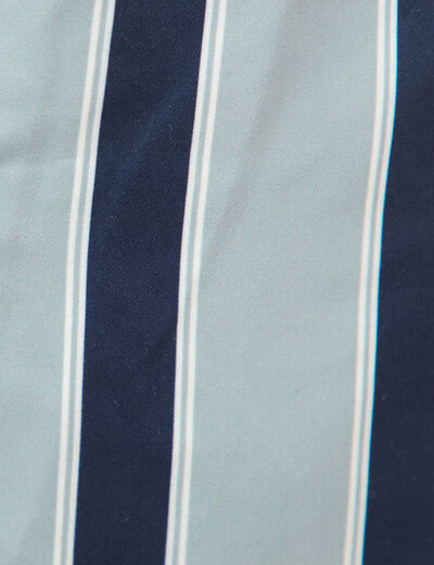 Maillot de bain ray&eacute; doubl&eacute; bleu gris homme