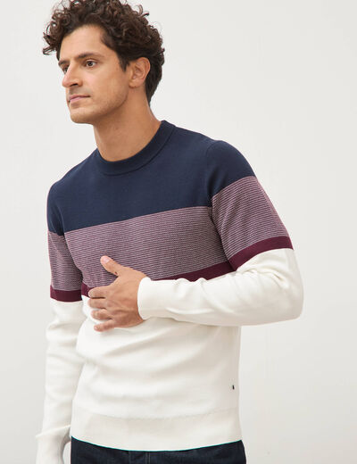 Pull fin col rond manches longues bleu marine homme