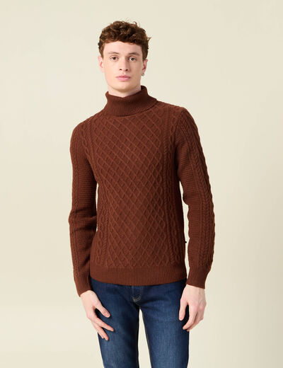 Pull manches longues marron cognac homme