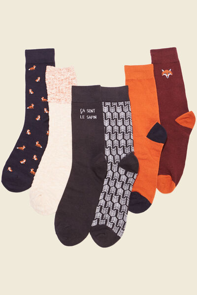 Lot 6 paires chaussettes multicolore homme