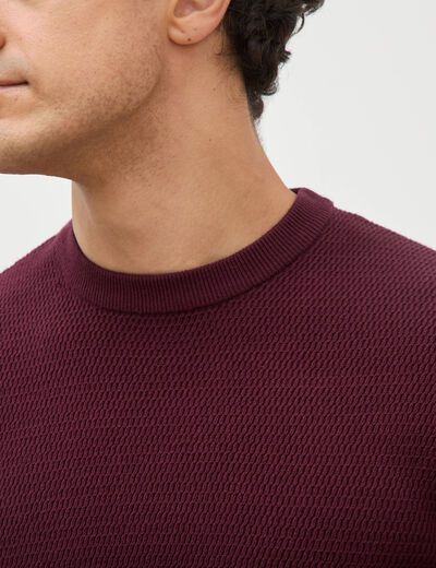 Pull droit manches longues prune homme