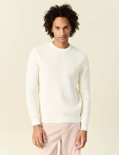 Pull manches longues col rond ecru homme