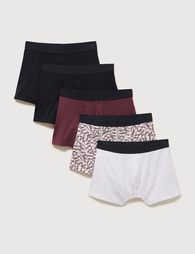 Lot de 5 boxers prune homme