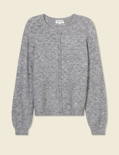 Gilet manches longues ajouré gris clair femme