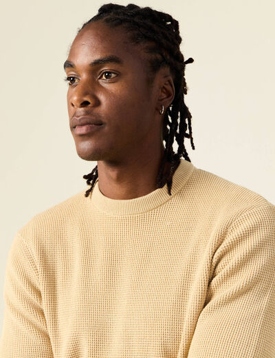 Pull manches longues col rond beige homme