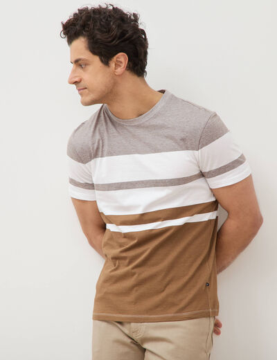 T-shirt manches courtes taupe homme