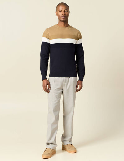 Pull manches longues bleu marine homme