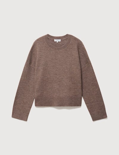Pull col rond manches longues marron femme