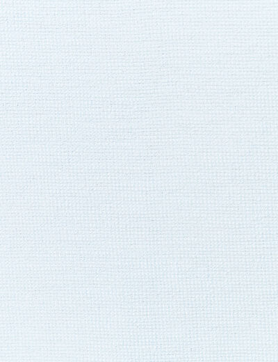 T-shirt manches courtes bleu ciel homme