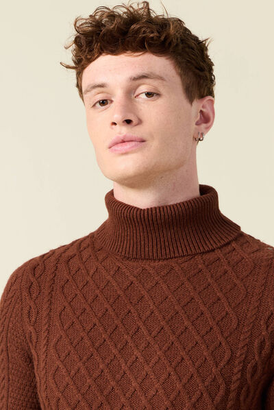 Pull manches longues marron cognac homme