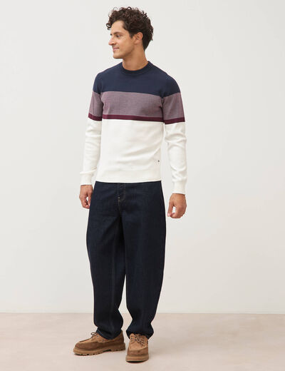 Pull fin col rond manches longues bleu marine homme