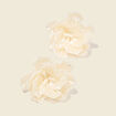 Boucles d'oreilles clous ecru femme