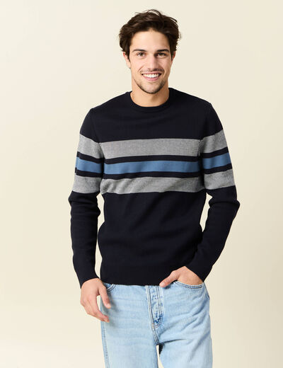 Pull manches longues bleu marine homme