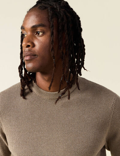 Pull manches longues col rond taupe homme